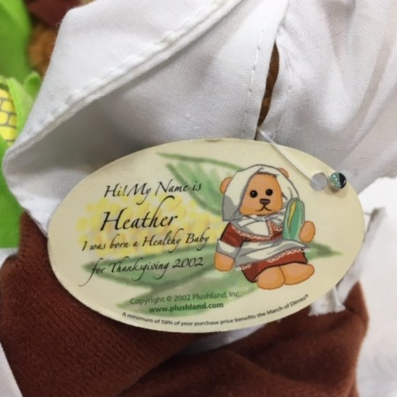 TWO Pilgrim Teddy Bears Thanksgiving Fall PLUSHLAND March of Dimes 8" - Picture 10 of 10